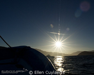 Memory of Sea of Cortez, unspoiled landscapes. Picture wa... by Ellen Cuylaerts 